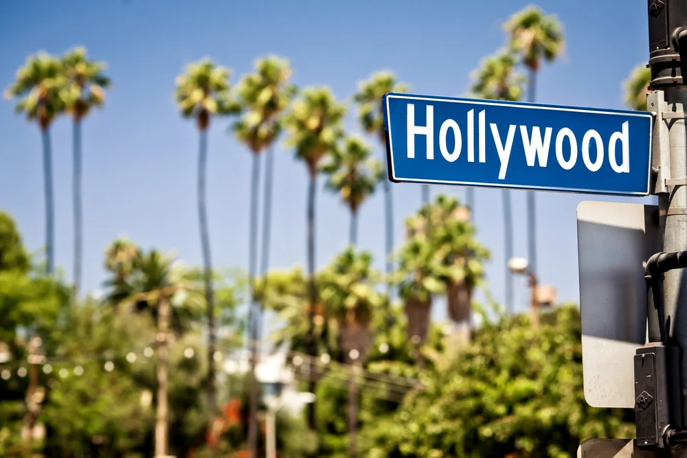 Hollywood Tour Limo Service