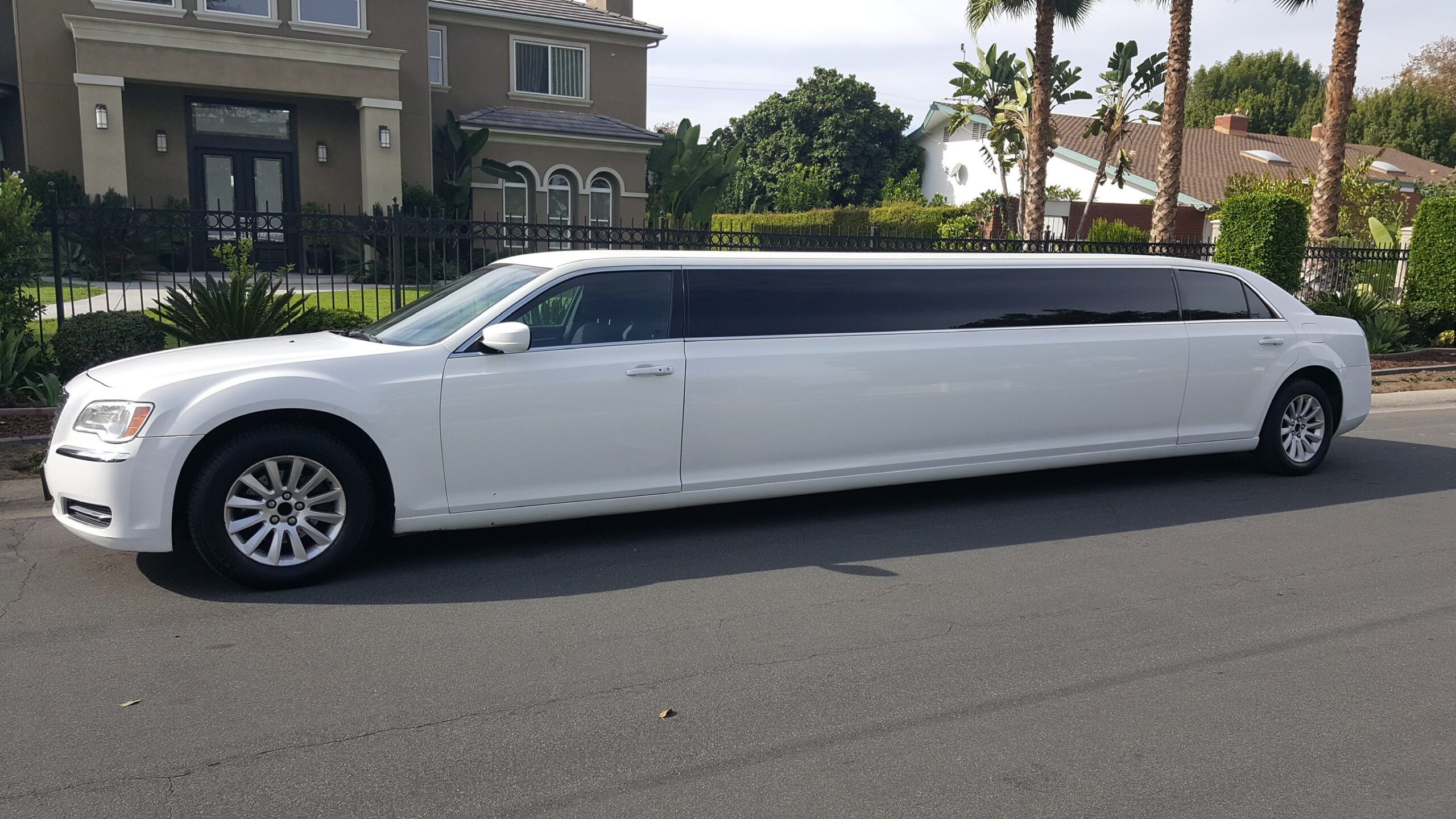 Premium Party Bus