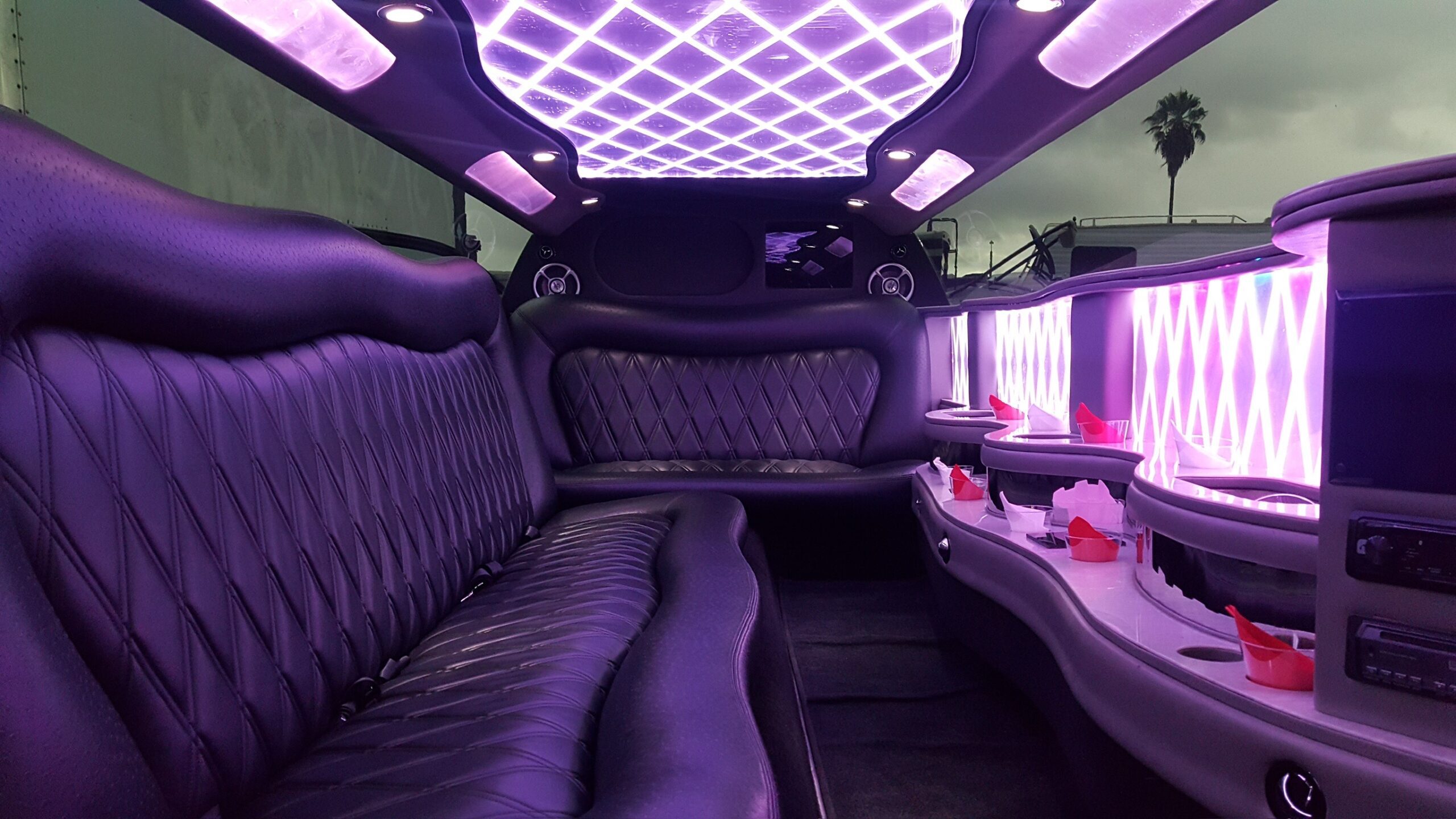 Elegant Party Bus