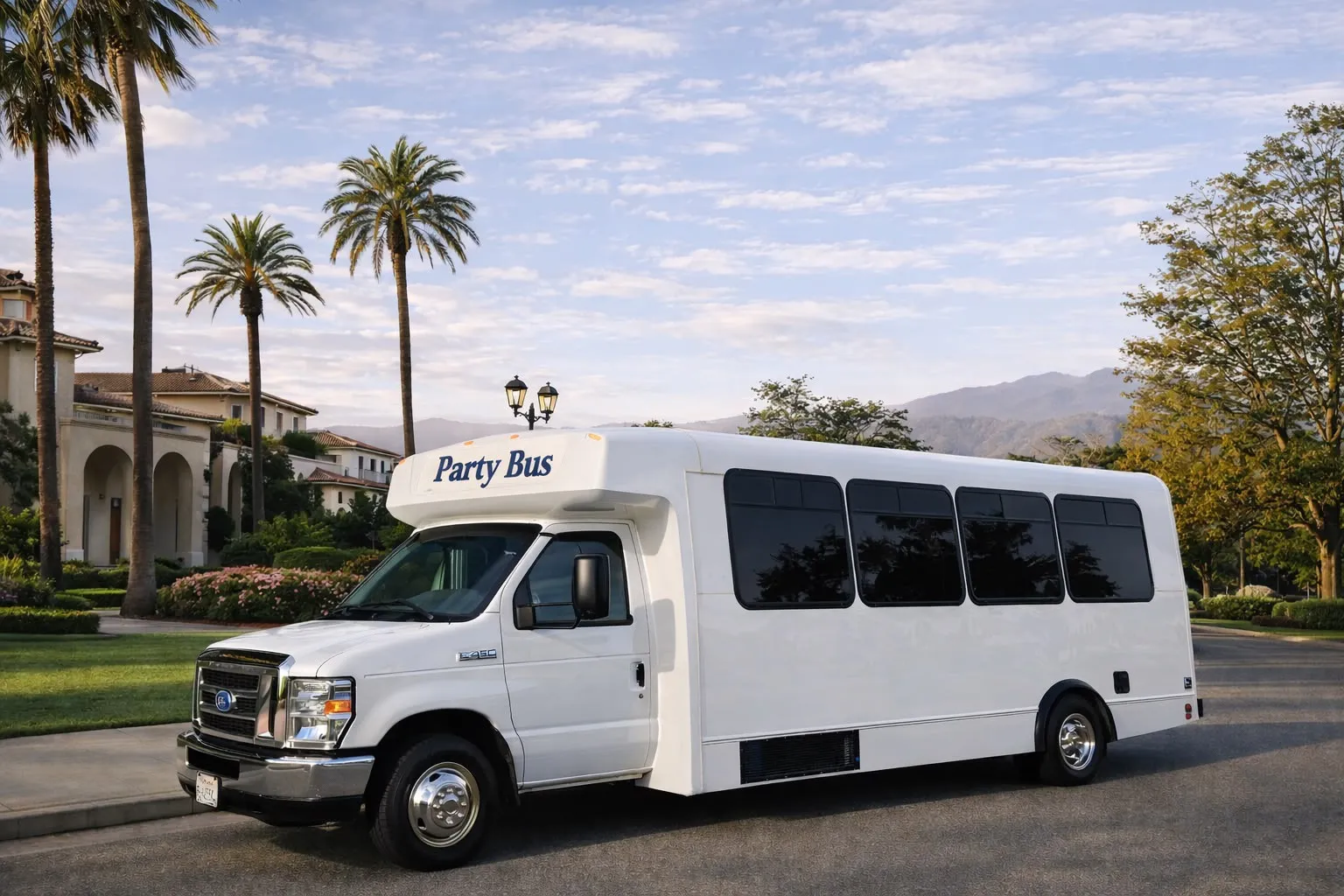 Medium 28 passenger party bus